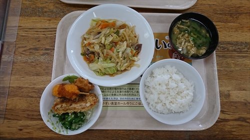 11日・琉球大学で！